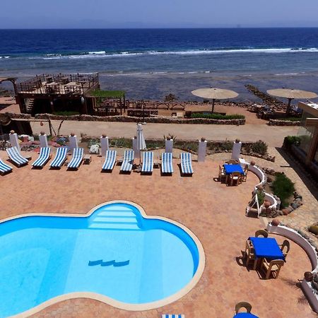 Blue Beach Club Apartment ダハブ エクステリア 写真